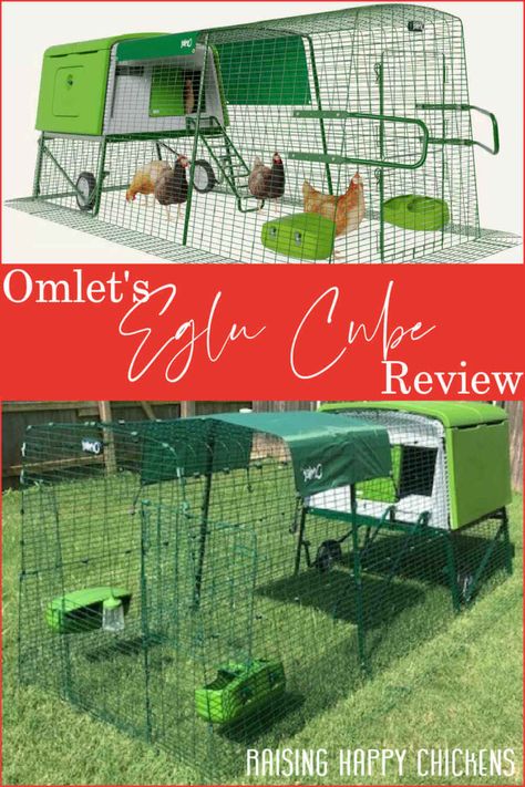 Omlet Eglu Cube, Predator Proof Chicken Coop, Eglu Cube, Polish Chicken, Chicken Tractor, Coop Design, Best Chicken Coop, Raising Backyard Chickens, Landscaping Inspiration