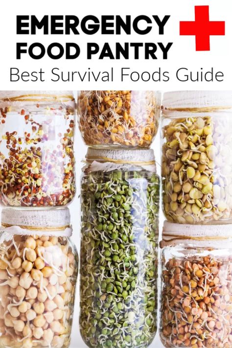 Long Lasting Food, Best Survival Food, Emergency Preparedness Food, Survival Foods, Emergency Food Supply, Long Term Food Storage, Emergency Preparation, Emergency Food, Emergency Prepping