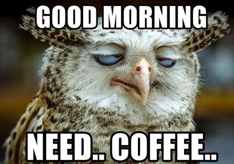 80 Good Morning Coffee Memes & Images to Kick Start Your Day Coffee Humor Hilarious Mornings Funny, Funny Coffee Quotes Mornings, Funny Morning Memes Humor, Work Related Quotes, Early Morning Coffee, Coffee Quotes Morning, Coffee Jokes, Miracle Quotes, Coffee Meme Funny Hilarious