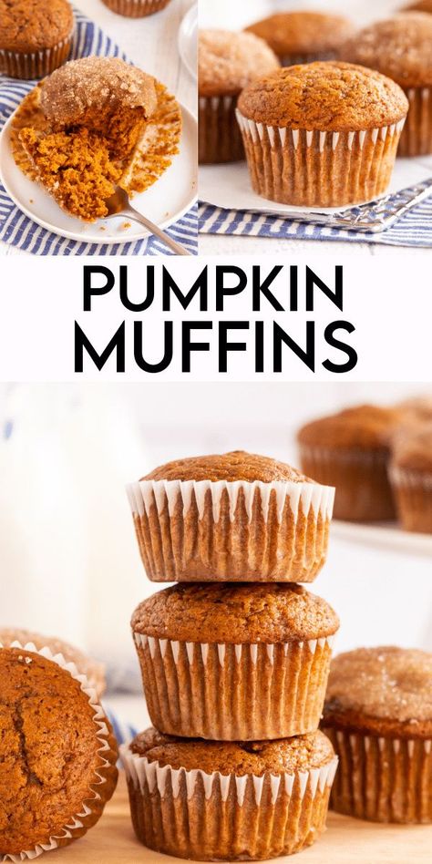 Pumpkin Muffins are bursting with pumpkin, cinnamon and a touch of nutmeg! Enjoy them as is or dip in melted butter and cinnamon sugar. Easy Pumpkin Muffins, Best Pumpkin Muffins, Pumpkin Muffins Easy, Pumpkin Muffin Recipes, Sugar Pumpkin, Thanksgiving Traditions, Muffin Recipe, Vegan Kitchen, Best Pumpkin