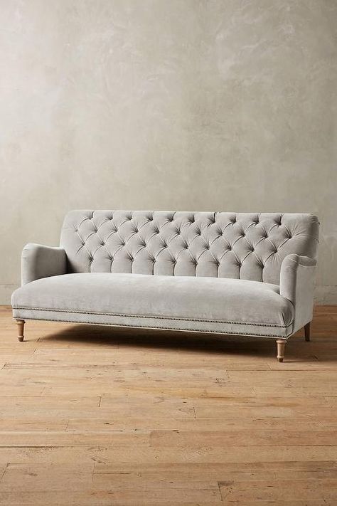 Elegant Couches Furniture, Light Gray Velvet Sofa, Tuffed Sofa, Unique Living Room Furniture, Button Tufted Sofa, Living Room Sofa Design, Tufted Sofa, The Velvet, Velvet Upholstery