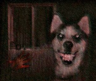 Smile Dog Creepypasta, Smile Dog, Mind's Eye, Husky, The Internet, Internet