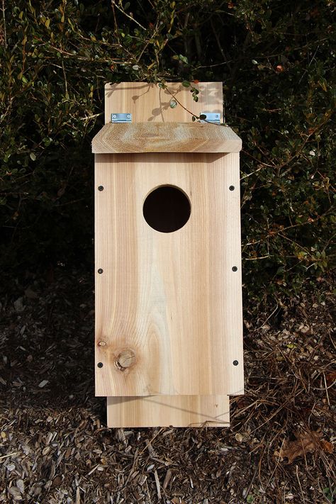 Build A Screech Owl Nesting Box From A Cedar Board - Hobby Farms Owl House Plans, Free Birdhouse Plans, Owl Nest Box, Diy Cat Shelves, Martin Bird, Birdhouse Plans, Bird House Plans Free, Owl Box, Cedar Boards