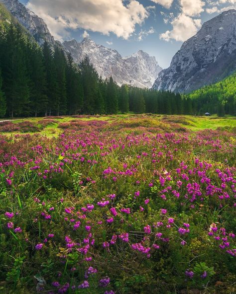 Slovenia Alps, Triglav National Park, Slovenia Travel, Julian Alps, Love S, Overnight Mask, Euro Summer, Story Setting, Modern Wallpaper