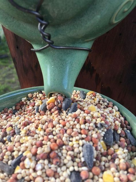 Teapot and Barn Wood Bird Feeder Easy Christmas Presents, Old Tea Pots, Make A Bird Feeder, Wood Bird Feeder, Farmhouse Headboard, Garden Decor Crafts, Easy Bird, Tea Cup Bird Feeder, Watercolor Pencil