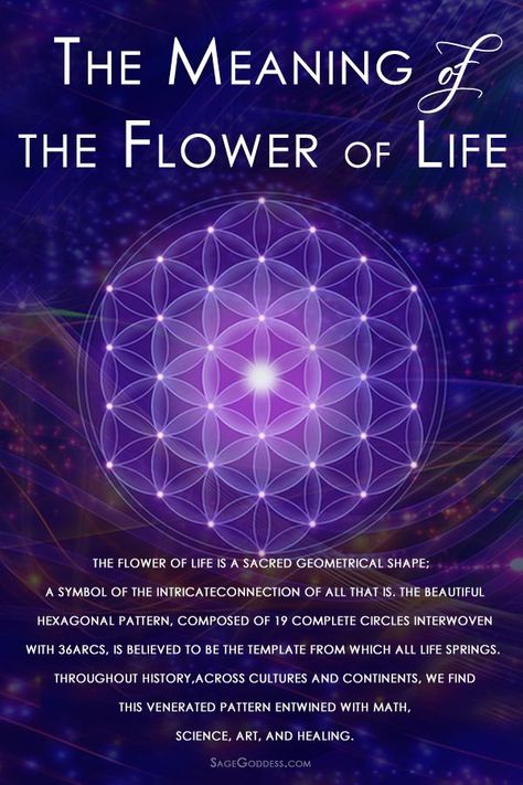 Flower Of Life Meaning, Sacred Geometry Meanings, Life Meaning, Sacred Geometry Patterns, The Flower Of Life, Sacred Geometry Symbols, Easy Meditation, Sacred Geometry Art, Universal Love