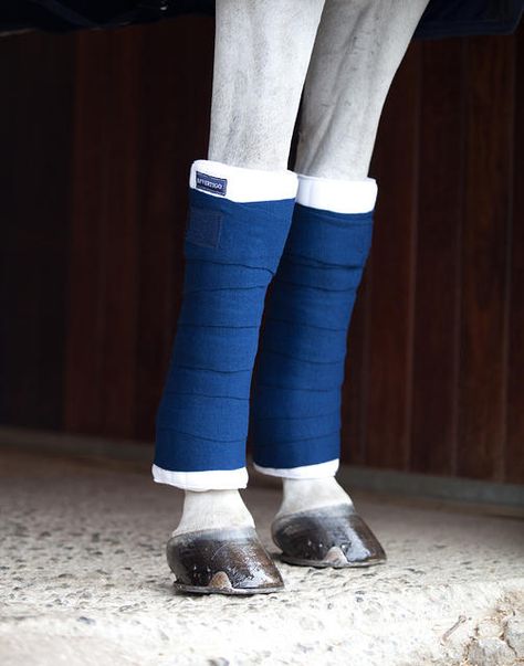 These 2-sided soft leg wraps will cradle your horse in comfort. Horse Leg Wraps, Leg Wraps, Dream Stables, Soft Legs, Polo Wraps, Horse Equipment, Horse Stables, Horse Stuff, Dressage