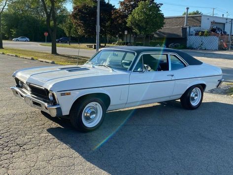 1970 Chevy Nova Ss, Chevy Nova Ss 1969, 72 Nova, Nova Car, Chevy Nova Ss, Chevy Ss, Dover White, Chevy Cars, Muscle Cars For Sale