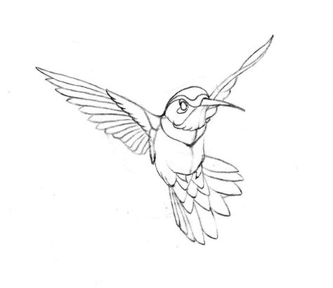 Hummingbird Sketch, Hummingbird Illustration, Hummingbird Drawing, Hummingbird Art, Sketch Pencil, Hummingbird Tattoo, Outline Drawings, Arte Animal, Bird Drawings