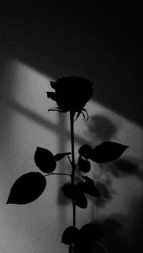 Aesthetic Black Images, Black Roses Wallpaper Aesthetic, Widgets Iphone Noir, Authentic Wallpaper Iphone, Dark Aethstetic Wallpapers, Edgy Wallpaper Aesthetic Iphone, Dark Black Aesthetic Pictures, Grey Asthetics Wallpaper, Dark Asethics