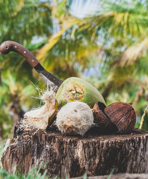 Coconut Farm Maui | Punakea Palms Coconut Farm, Lahaina Maui, Future Farms, Coconut Tree, Hawaiian Islands, Maui Hawaii, Farm Life, Vacation Spots, Beautiful Beaches