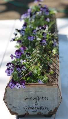 chicken_feeder_planter_for_flowers Chicken Feeder Decor, Diy Indoor Herb Garden, Farmhouse Flower Pots, Garden Labyrinth, Estate Grounds, Outdoor Plant Stands, Purple Cottage, Chicken Feeder Diy, Diy Gutters