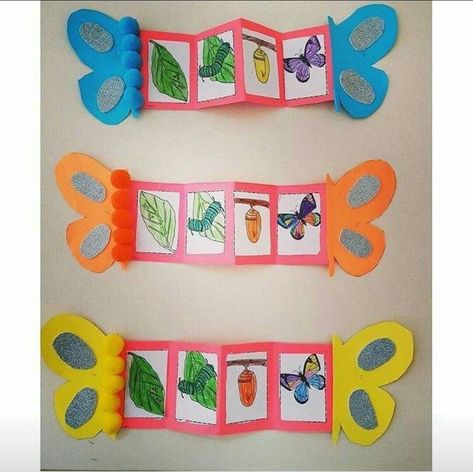 Garden Theme Crafts, دورة حياة النبات, Preschool Insects, Life Cycles Preschool, Insects Preschool, Insect Crafts, Insects Theme, Spring Preschool, Daycare Crafts