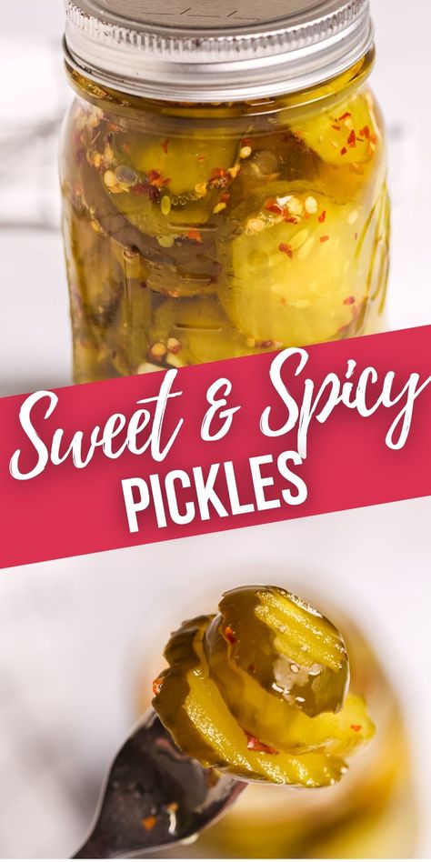 These Sweet and Spicy Pickles are the best pickles to top your burgers with this summer. Brings the perfect amount of sweet and heat. Pickling Pickles Recipes, Killer Spicy Garlic Dill Pickles, Easy Sweet Pickles Canning, Sweet Hot Dill Pickles, How To Make Flavored Pickles, Sweet Pickle Recipes Homemade, Pickled Pickles Recipes, Pickle Recipes Spicy, Canning Spicy Pickles Recipe