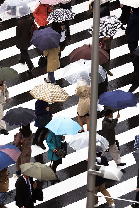 Yoshinoricms7_its_nice_that People With Umbrellas, Space Gallery, Photography Street, Photo Competition, Photography Awards, Rain Photography, Urban Life, Birds Eye View, Artistic Photography