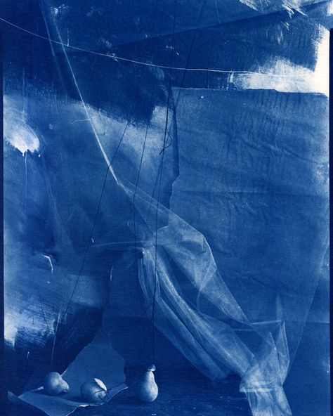 Photo Book Inspiration, Cyanotype Process, Pinhole Photography, Alternative Photography, Wabi Sabi Art, Thought Patterns, Rennaissance Art, Artist Models, Artwork Images