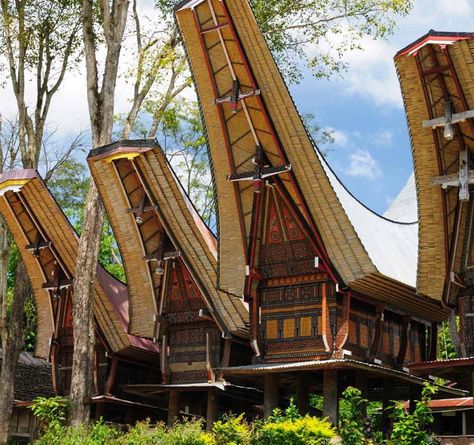 Tana Toraja, Sulawesi, Indonesia Nusantara Architecture, Traditional Indonesian Architecture, Indonesian House, Indonesian Village, Tana Toraja, South Sulawesi, House Design Trends, Traditional Houses, Padang