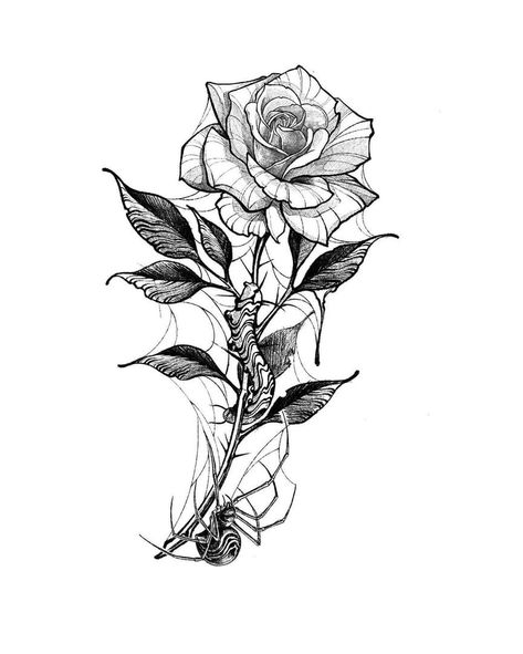 Flowers Tattoo Drawing, To Him, Spider Web Tattoo, Rose Drawing Tattoo, He Is, Flower Tattoo Drawings, Gothic Flowers, Web Tattoo, Armband Tattoos