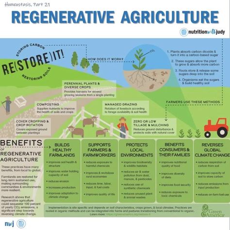 Regenerative agriculture is a conservation and rehabilitation approach to food and farming systems. . 🔄It focuses on topsoil regeneration,… Regenative Agriculture, Restoration Agriculture, Allotment Planning, Biodynamic Farming, Biodynamic Gardening, Farm Quotes, Geography Project, Holistic Health Nutrition, Regenerative Farming