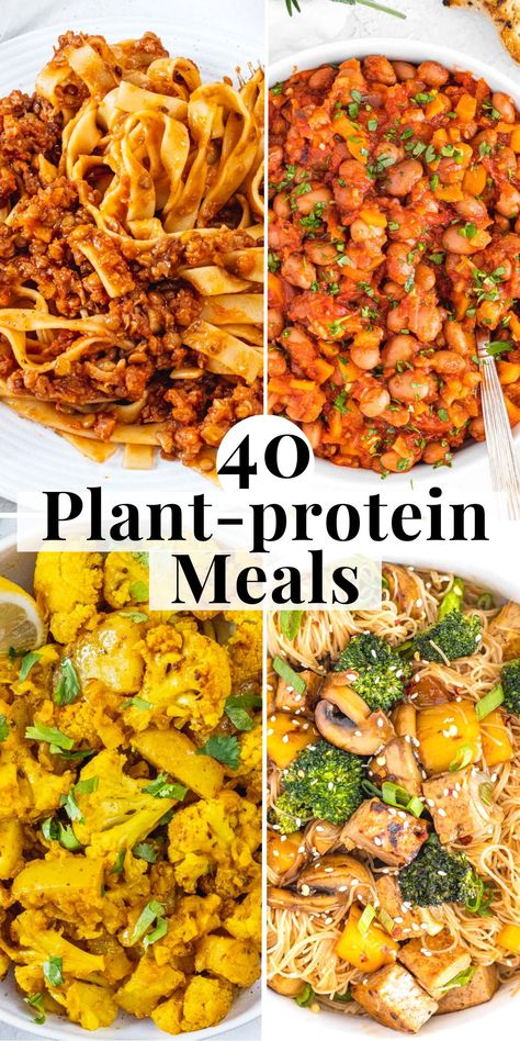 Whether you are seeking to reduce your carbon footprint, explore new protein sources, or add more plant-based variety to your diet, these meals cater to diverse dietary preferences. Vegan Protein Main Dish, Easy Clean Vegan Meals, Vegan Protein Meals Plant Based, Plant Based Meat Alternatives, Plant Based Meat Crumbles Recipes, Meatless Protein Recipes, Vegetarian Plant Based Recipes, Plant Based Diet For Beginners Recipes, Vegetarian Recipes Without Beans