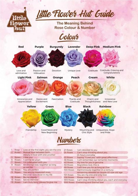 Color Meaning Chart, Roses Meaning, Colour Meanings, Skin Tone Dress, Colour Meaning, Rose Color Meanings, Bouquet Of Pink Roses, Rose Meaning, Magickal Herbs