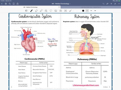 🔷Medical Students' Best Friend for Taking Notes 🔷Stable Writing Feel 🔷Anti-Glare Surface College Ipad, College Marketing, Notes Goodnotes, Med School Study, College Note Taking, Note Taking Strategies, Notes Taking, Ipad Notes, Homework Planner