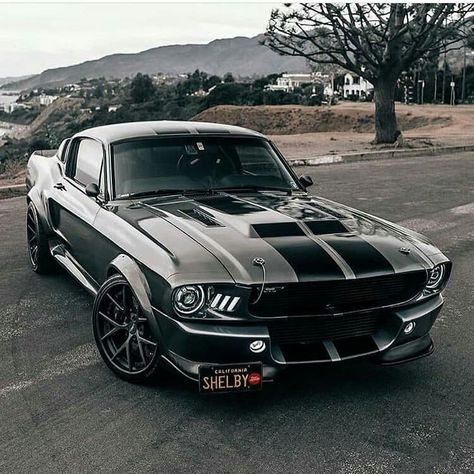 Muscle Cars Wallpaper, Travel Poland, Bw Portrait, Shelby Mustang Gt500, Mobil Mustang, Cars Mustang, Shelby Gt 500, Muscle Cars Mustang, Мотоциклы Cafe Racers