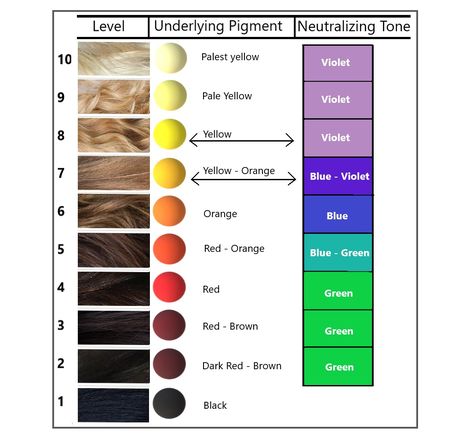 4.6 Formulating the Toner – Hair Colour for Hairstylists: Level 2 Hair Color Theory, Schwarzkopf Hair Color Chart, Ion Hair Color Chart, Levels Of Hair Color, Level 6 Hair Color, Hair Coloring At Home, Level 7 Hair Color, Redken Toner, Ion Hair Colors