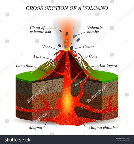 Volcano igneous eruption in the cross section. Education scientific scheme for posters, placards, pages, banners, illustration. #Ad , #AFFILIATE, #cross#section#Education#Volcano Volcano Diagram, Volcano Projects, Plate Movement, Erupting Volcano, Diagram Design, Science Fair Projects, Cross Section, Science Fair, Science Projects