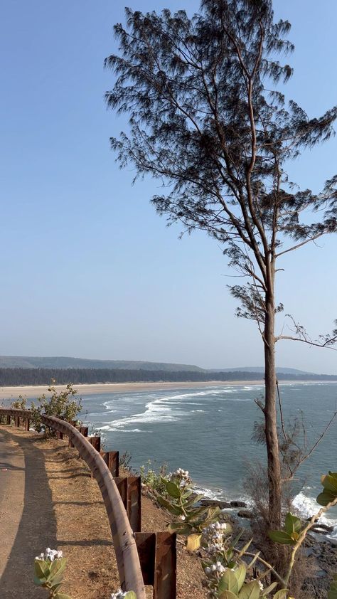 #beach #konkan #ratnagiri Insta Story Idea, Chemical Science, Gudi Padwa, Beach Video, Aesthetic Captions, Doodle Pages, Insta Profile, Insta Profile Pic, Ganpati Bappa