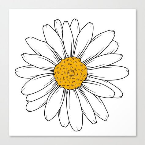 Drawing Of Daisy Flowers, Daisy Images Flower, Daisies Drawing Simple, Daisy Flowers Drawings, Daisy Flower Drawing Simple, Simple Daisy Drawing, Daisy Drawing Simple, Drawing Of A Daisy, Daisy Flower Sketch