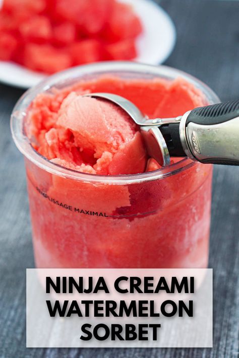 pint container with watermelon sorbet and text Watermelon Creami Sorbet, Ninja Creamy Easy Recipes, Watermelon Ninja Creami Recipe, Ninja Creami Sorbet Recipes Healthy, Ninja Creami Watermelon Ice Cream, Ninja Creami Watermelon Sherbert, Whole 30 Ninja Creami, Creami Recipes Ninja, Watermelon Sorbet Recipe Ice Cream Maker