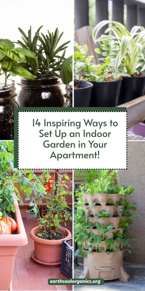 Discover how to bring green vibes into your apartment with these indoor gardening ideas. Design cozy plant-filled corners, set up a stylish sunroom, or create a lush basement garden. From DIY projects to elegant plant party ideas, there’s something for everyone! #InsideGarden #ApartmentBasement #PlantParty Indoor Food Garden Apartment, Indoor Apartment Garden, Indoor Salad Garden, Sunroom Plants, Indoor Gardening Ideas, Basement Garden, Indoor Garden Apartment, Mason Jar Planter, Green Vibes