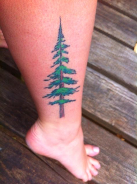 Made in Oregon. My Douglas Fir Tree tattoo. Douglas Fir Tree Tattoo, Tree Roots Tattoo, Oregon Tattoo, Douglas Fir Tree, Jack Tattoo, Tattoo Tree, Simple Tattoo, Fir Tree, Tree Tattoo