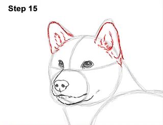 Draw a Shiba Inu Dog 15 Shiba Inu Drawing Reference, Shiba Drawing, Shiba Inu Drawing, Dog Drawing Tutorial, Draw A Dog, Dog Design Art, Cute Dog Drawing, Drawing Instructions, Akita Inu