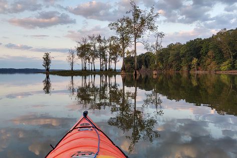 North Alabama's lakes, rivers and creeks make for pristine paddling, from easy floats to whitewater adventures. Learn more about kayaking in North Alabama here. North Alabama, Waterfall Trail, Tennessee River, Kayak Adventures, River Trail, Canoe And Kayak, Boat Rental, Kayak Fishing, Alabama