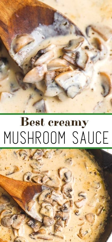 Mushroom Sauce For Pork, Meatballs Pork, Mushroom Sauce For Chicken, Mushroom Sauce Recipe, Mushroom Recipes Pasta, Pork Sauce, Mushroom Cream Sauces, Creamy Mushroom Pasta, Steak And Mushrooms