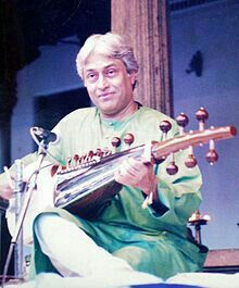 Amjad Ali Khan, Hindustani Classical Music, India History, Indian Musical Instruments, Ravi Shankar, Indian Classical Music, Classical Musicians, Future Room, Indian Music