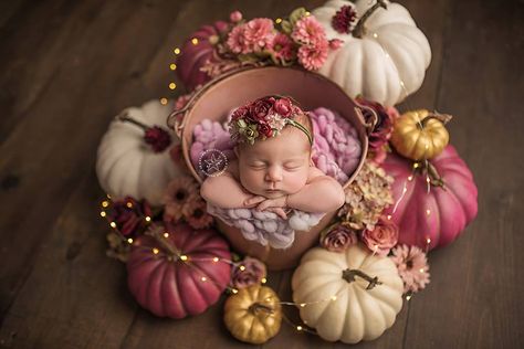 The most beautiful little pumpkin in the whole patch. Fall Newborn session. Newborn with pumpkins.   Bucket from Rozzi Rayne Studio Props Layer from Bailey's Knits Headband from Pinkytinks  Newborn Photography - Newborn Photographer - Starr Photography Fall Newborn Pictures, Fall Newborn Photos, Fall Newborn Photography, Fall Baby Photos, Fall Newborn, Fall Baby Pictures, Foto Newborn, Newborn Photography Poses, Newborn Baby Photoshoot