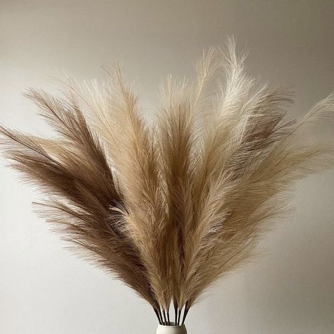 Indian Feathers, Floral Inspiration, Pampas Grass, Native American Indians, American Indian, Dandelion, Feathers, Native American, Sweet Home