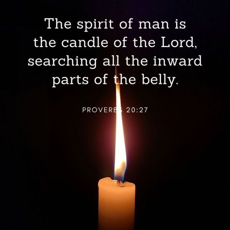 Proverbs 20:27 Proverbs 20, Understanding The Bible, Salt And Light, Awesome God, Good Prayers, Divine Mercy, Love Is Patient, Prayer Warrior, Light Of The World