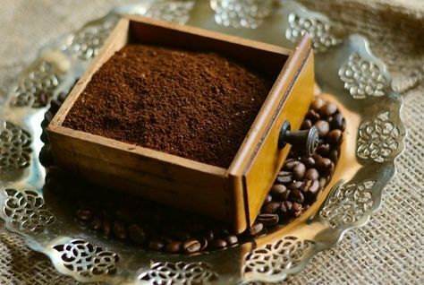 grounds Homemade Plant Food, Mole Repellent, Sugar Ants, Ant Repellent, Coffee Facial, Coffee Soap, Uses For Coffee Grounds, Coffee Grinds, Espresso Powder