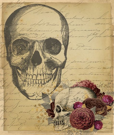 Copyright Free Images Public Domain, Ephemera Printables Free, Public Domain Images Vintage, Skulls Illustration, Antique Drawing, Gothic Images, Vintage Halloween Images, Copyright Free Images, Free Vintage Printables