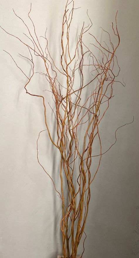 Fresh Cut Curly Willow Choice of Length - Etsy Willow Flower Arrangements, Curly Willow Branches, Willow Flower, Floral Design Classes, Flower Identification, Curly Willow, Willow Branches, Fresh Cut, Golden Brown