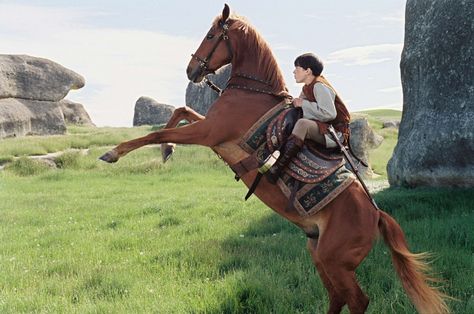 "Whooooa horsie!" ~Edmund "My name, is Philip." ~Philip Skandar Keynes, Narnia Cast, Narnia Quotes, Narnia Movies, Narnia 3, Edmund Pevensie, Prince Caspian, Movie Facts, Cs Lewis