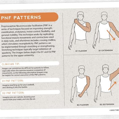 PNF Patterns – Adult and pediatric Pnf Techniques Occupational Therapy, Snf Occupational Therapy Activities, Neuro Exercises, Graduate School Essentials, Pnf Techniques, Nbcot Exam Prep, Nbcot Exam, Pt Exercises, Med Notes