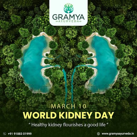 Drink more water and control your sugar levels to keep your kidneys always in good condition. Happy World Kidney Day! Kidney Health for All! #GramyaAyurveda #WorldKidneyDay #WorldKidneyDay2022 #KidneyDay #KidneyHealthforAll World Kidney Day, Visual Advertising, Apps Social Media, Healthy Kidneys, World Days, Ads Design, Kidney Health, Drink More Water, Social Media Designs