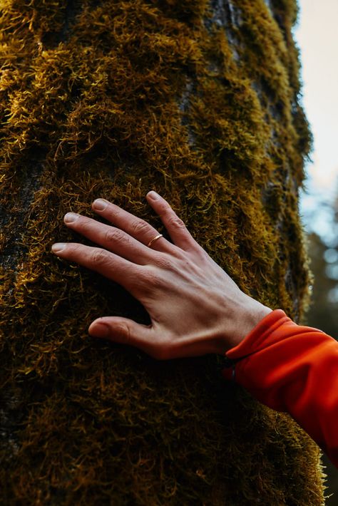 Shinrin Yoku Photography, Forest Bathing Photography, Forest Branding, Tree Bathing, Forest Foraging, Nature Bathing, Forest Meditation, Forest Therapy, In Touch With Nature