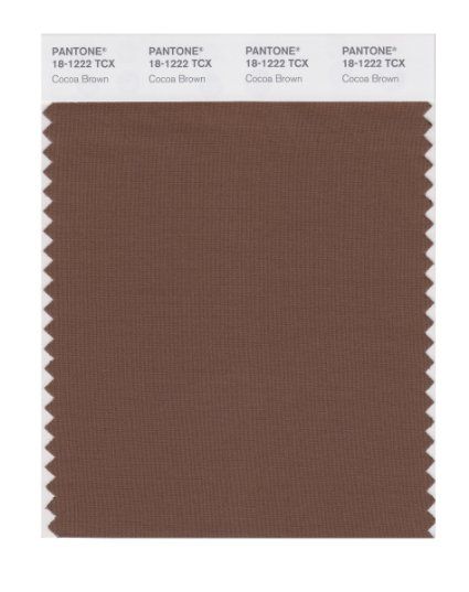 PANTONE 18-1222 TCX  - Cocoa Brown Pale Olive Skin Tone, Pale Olive Skin, Neutral Pallet, Zyla Colors, Brown Wall Decor, Pantone Swatches, Rgb Color Codes, Summer Brown, Spring Light