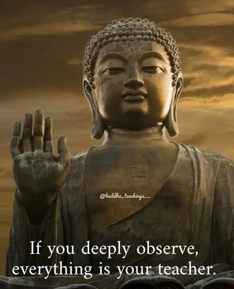 Buddha on Instagram: “Follow us now @buddha_teaching_science and _ type 'YES' if you agree with the quote! 💫 Tag someone below who needs to see this post!…” Buda Quotes, Best Buddha Quotes, Life Quotes Relationships, Buddha Quotes Life, Buddhist Wisdom, Buddha Art Painting, Buddha Quotes Inspirational, Teaching Quotes, Buddhism Quote